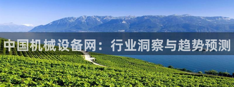 鸿运彩票平台带玩