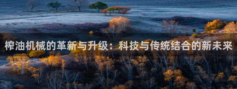 鸿运彩票平台官网