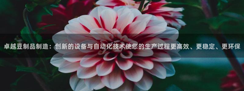 鸿运平台推荐产品