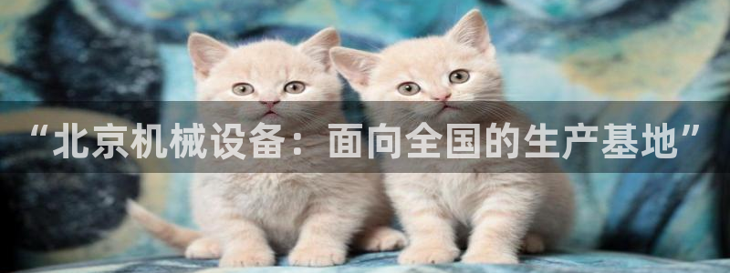 鸿运食品团购平台