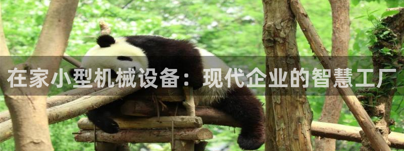 鸿运最大的直播平台