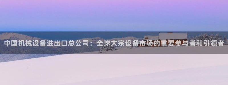 鸿运代拍平台