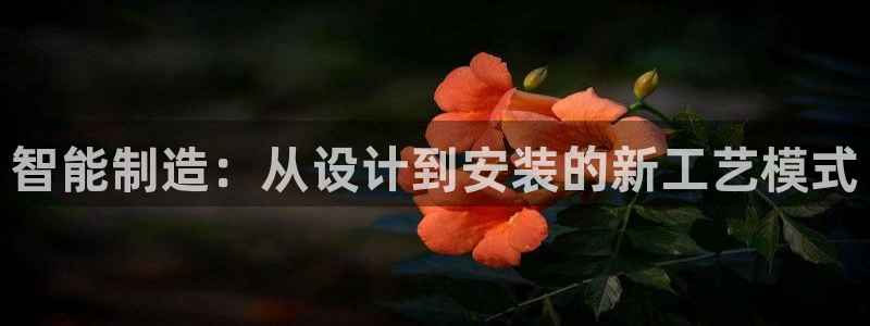 鸿运平台骗局曝光