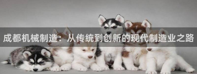 鸿运手机棋牌平台