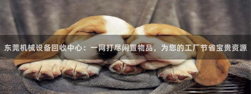 琥珀鸿运平台推广码